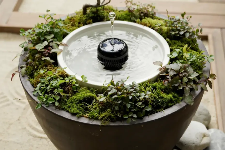 Solar Fountain Garden Design Ideas | Relaxing Water Feature for Backyard Tranquility