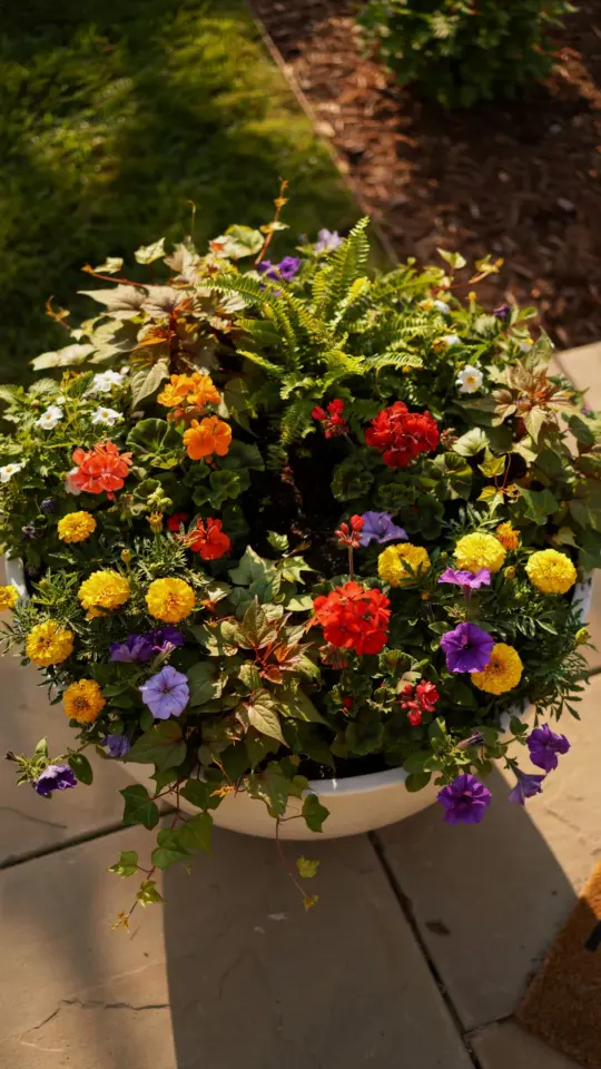 Solar Powered Water Fountain for Container Garden | Easy DIY Peaceful Outdoor Decor