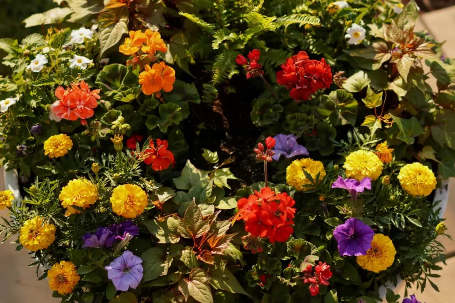 Solar Powered Water Fountain for Container Garden | Easy DIY Peaceful Outdoor Decor
