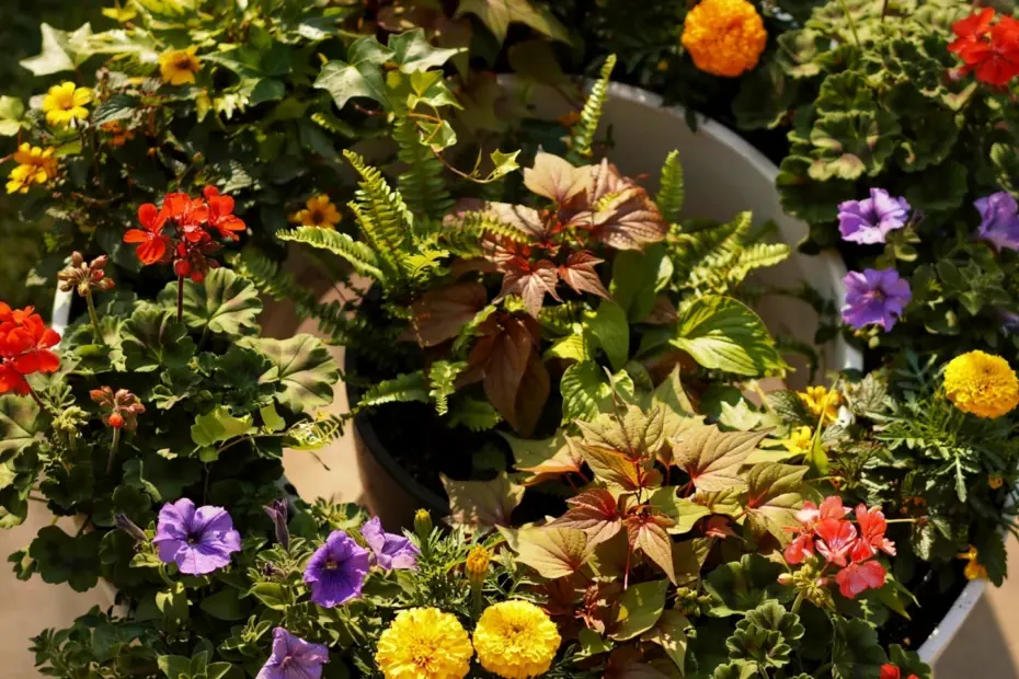 DIY Solar Powered Water Fountain for Container Garden | Easy Outdoor Project